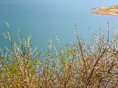 -广州市流溪河国家森林公园