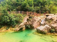 -南海湾森林生态园