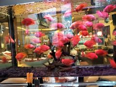 -怡咖啡海鲜自助餐厅(浦东香格里拉店)