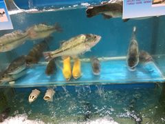 -北国超市(天河店)