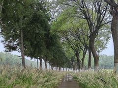 -汉长安城未央宫国家考古遗址公园