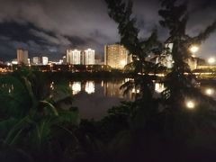 -万绿园