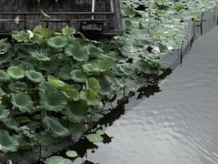 -乌石村