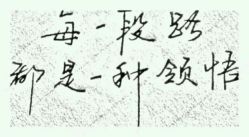 -成都苗方清颜专业祛痘