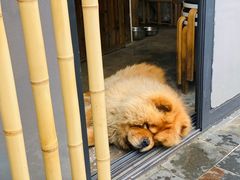 -看见远方·莫干遥远的山民宿
