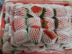 -菜园坝水果市场
