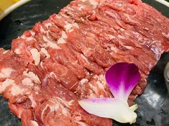 大刀腹肋肉-额尔敦传统涮(体育场店)