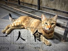 -吴苑饼家(延平路店)