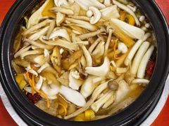 -菌之家·专业纯野生菌火锅·特色炒菌