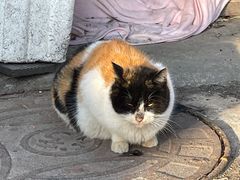 -济南南郊宾馆