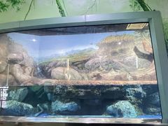-福州罗源湾海洋世界旅游区