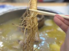 -朴小妹人参鸡汤火锅(长白山万达店)