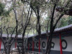 -济南大明湖景区