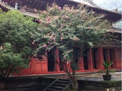 -报恩寺(平武县)