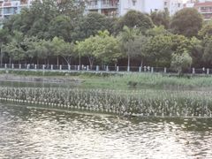 -南宁南湖公园