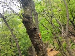 -终南山南五台景区