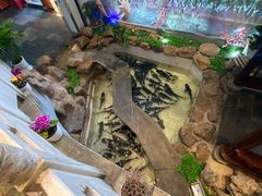 -春盛渔府(牛首山店)