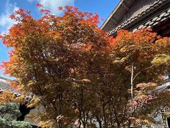 -宝光寺
