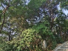 -广州市白云山风景名胜区