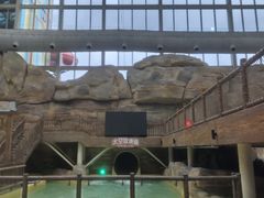 -杭州开元森泊度假乐园