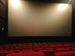 -武汉华夏国际影城(鲁广店)