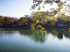 -紫霞湖公园