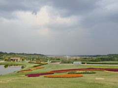 -空港花田景区