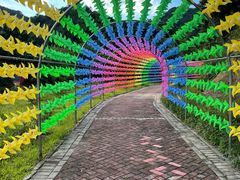 -广州白江湖森林公园