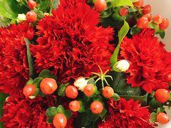 -双季花艺园艺市场(浦东店)