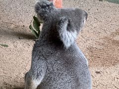 -费瑟代尔野生动物园