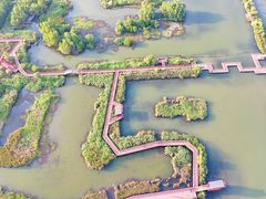 -芒洲湿地公园
