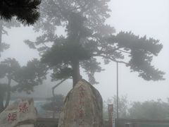 -妙峰山风景名胜区