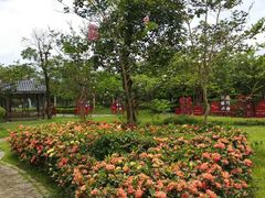 -飞来湖湿地公园