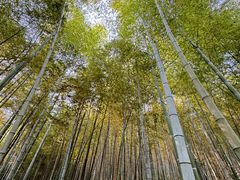 -天目湖涵田度假村