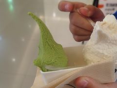 -野人先生现做冰淇淋(北京王府井东方新天地店)