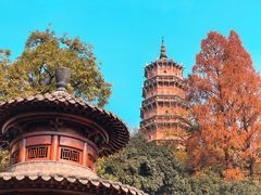 -宝通禅寺