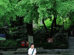 -成都市活水公园