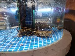 -龙庭华宴·粤菜·早茶