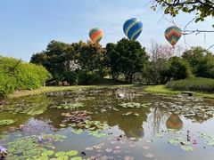 -中国科学院西双版纳热带植物园