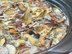 -鲜菌江湖正宗野生菌火锅