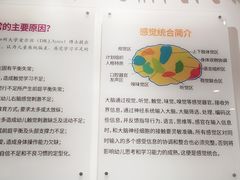 -多特儿童专注力·感统训练·学习力训练(曲江校区)