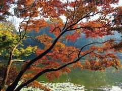 -浙江大学(玉泉校区)