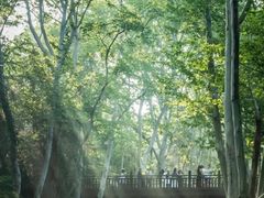 -康熙养生SPA·轻奢足道(江宁万达店)