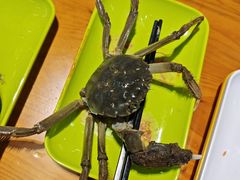 -养牛邓·潮汕牛肉海鲜自助火锅(广州店)