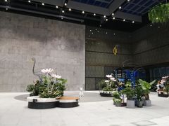 -奈雪的茶(skp店)