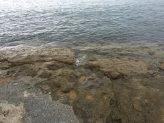 -日落吧·海景咖啡厅·餐酒吧·鸡尾酒·下午茶·乐队表演·浪漫夕阳·三亚文华东方酒店
