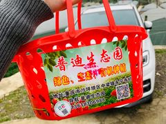-普迪生态园