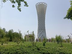 -上海滨江森林公园