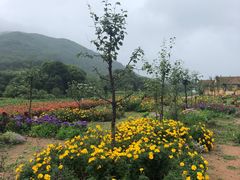 -帽儿山风景区