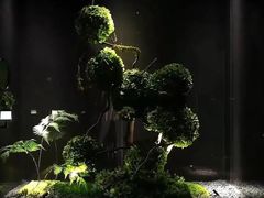 -唐宫足道·SPA·影院会馆(木渎店)